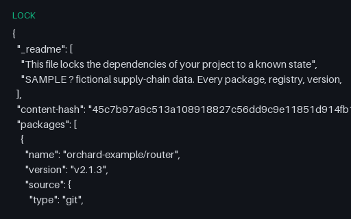 Preview of composer.lock (PHP)