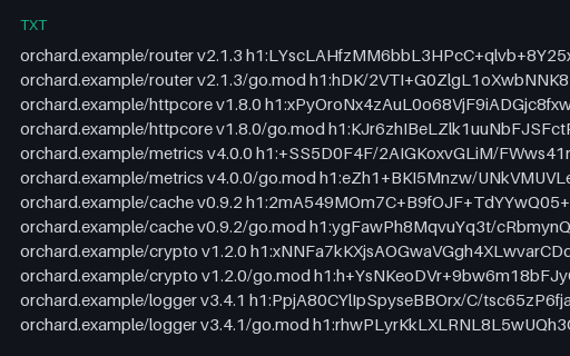 Preview of go.sum Checksum Lines (as .txt)