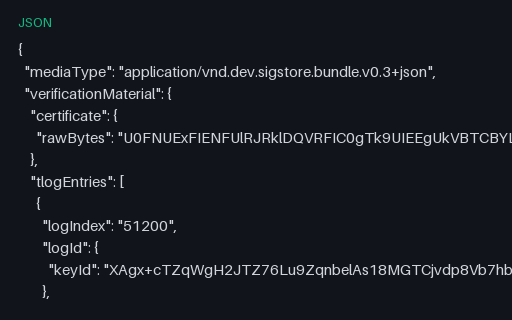 Preview of Sigstore Bundle (v0.3 Shape)