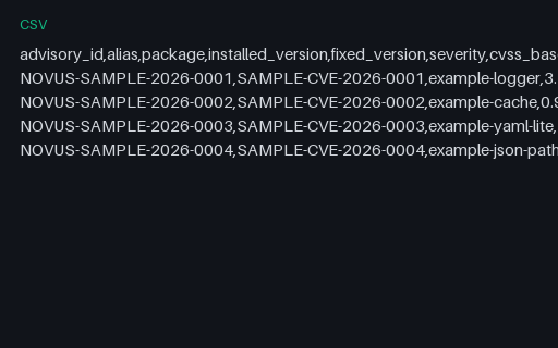 Preview of Vulnerability Summary (CSV)