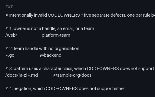Preview of CODEOWNERS - Intentionally Invalid, Five Distinct Defects