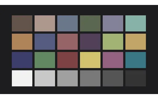 Preview of Colourisation Input — colour-patches, 50% Desaturated