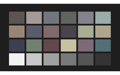 Preview of Colourisation Input — colour-patches, 80% Desaturated