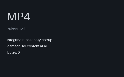 Preview of Intentionally Corrupt — Zero-Byte MP4