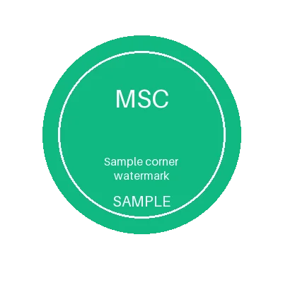 Corner Watermark Badge variant 2