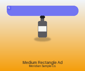 Medium Rectangle Ad variant 1