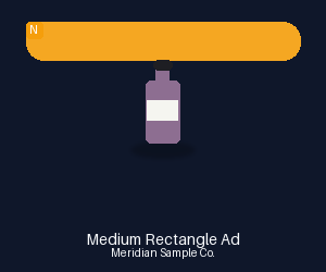 Medium Rectangle Ad variant 2