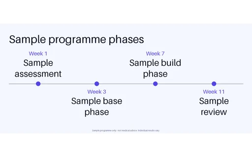 Programme Phase Timeline template preview