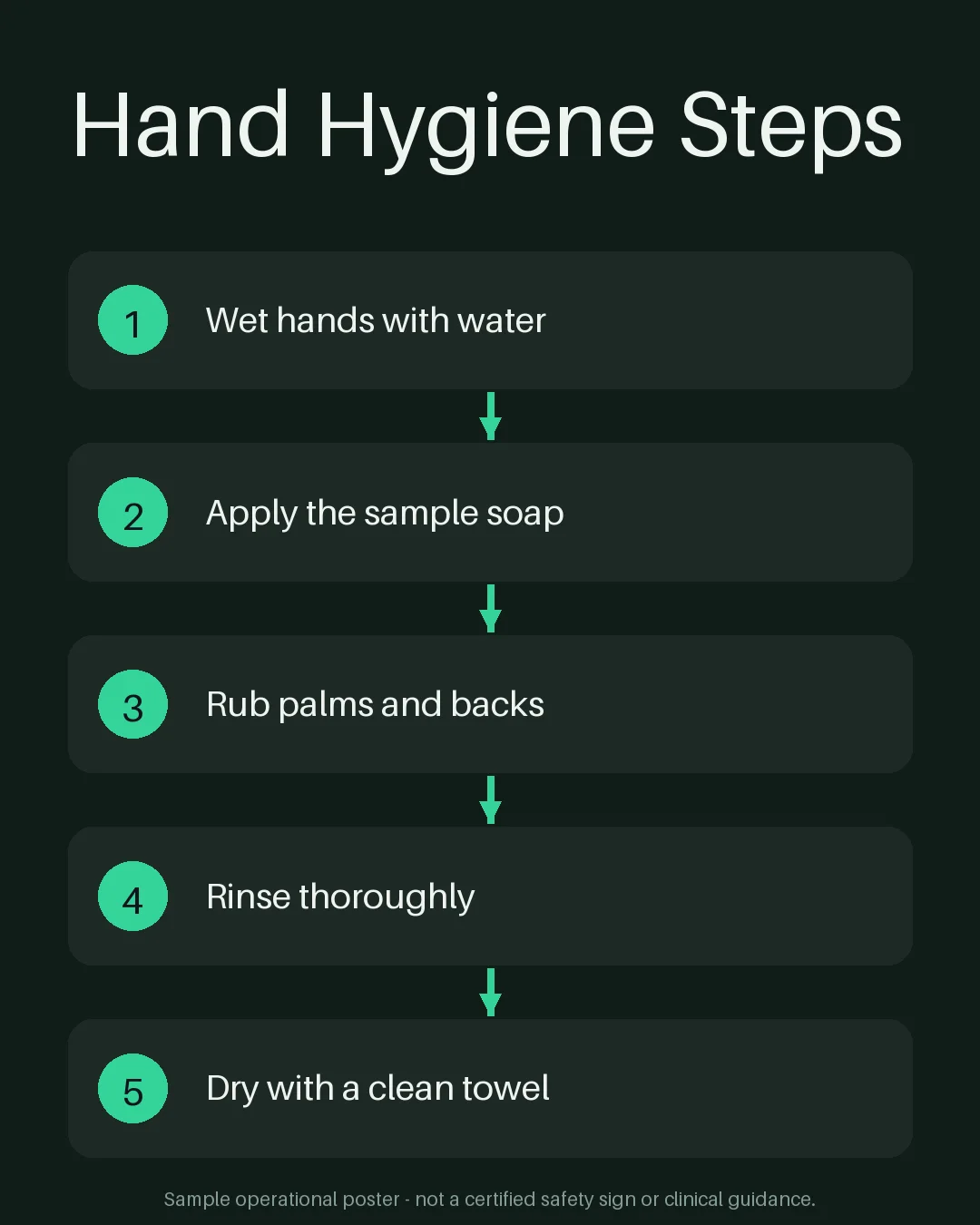 Hand Hygiene Steps Poster variant 2