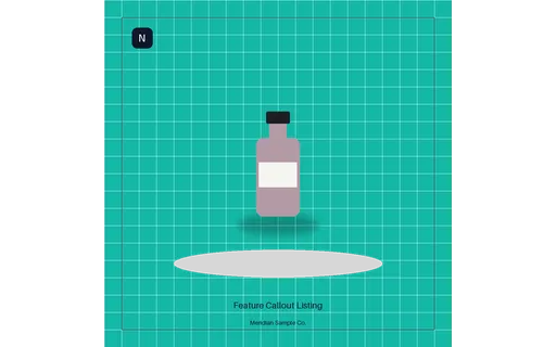 Feature Callout Listing visual template preview with fictional Meridian sample product