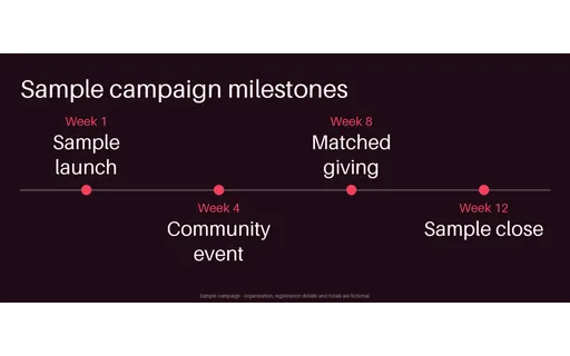 Campaign Milestone Timeline template preview