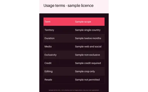 Licence Terms Sheet template preview