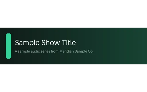 Wide Show Channel Banner template preview