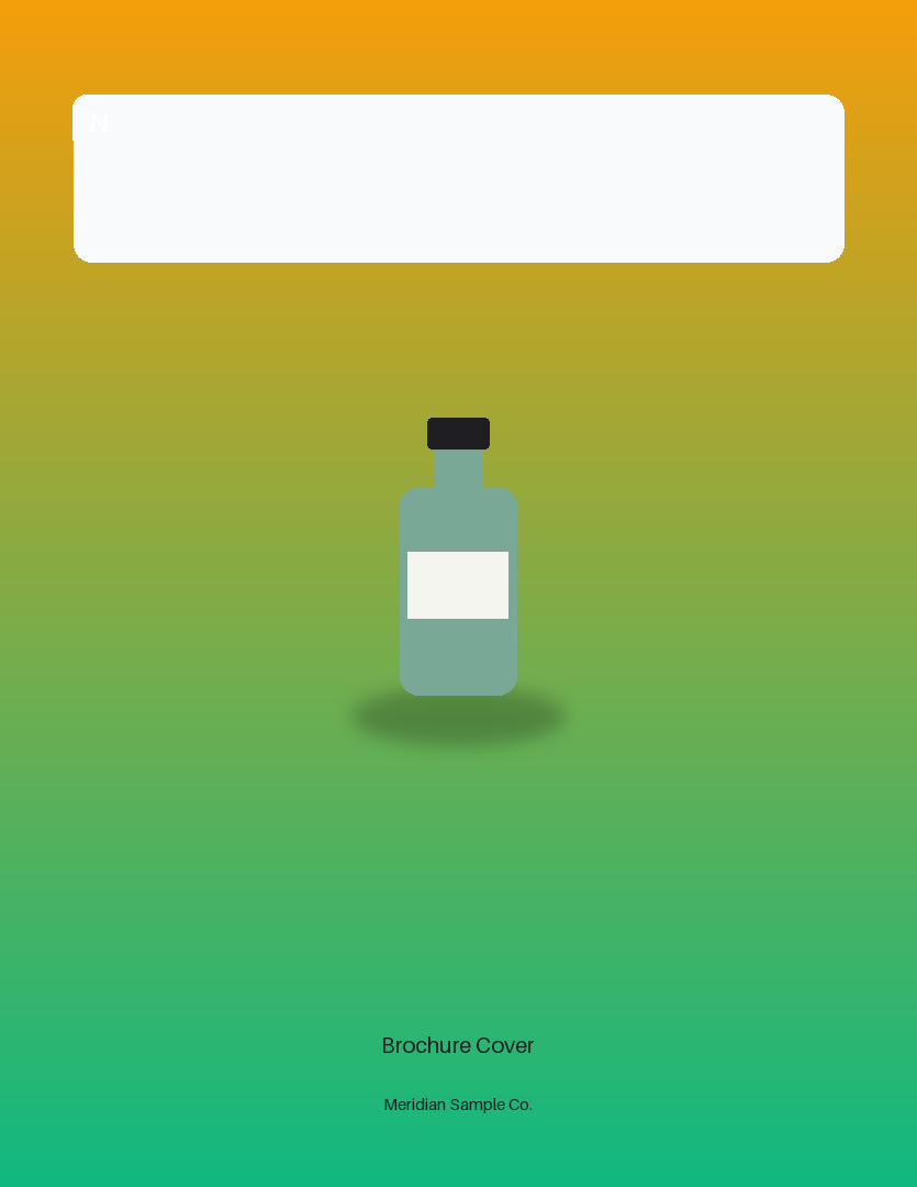 Brochure Cover variant 1