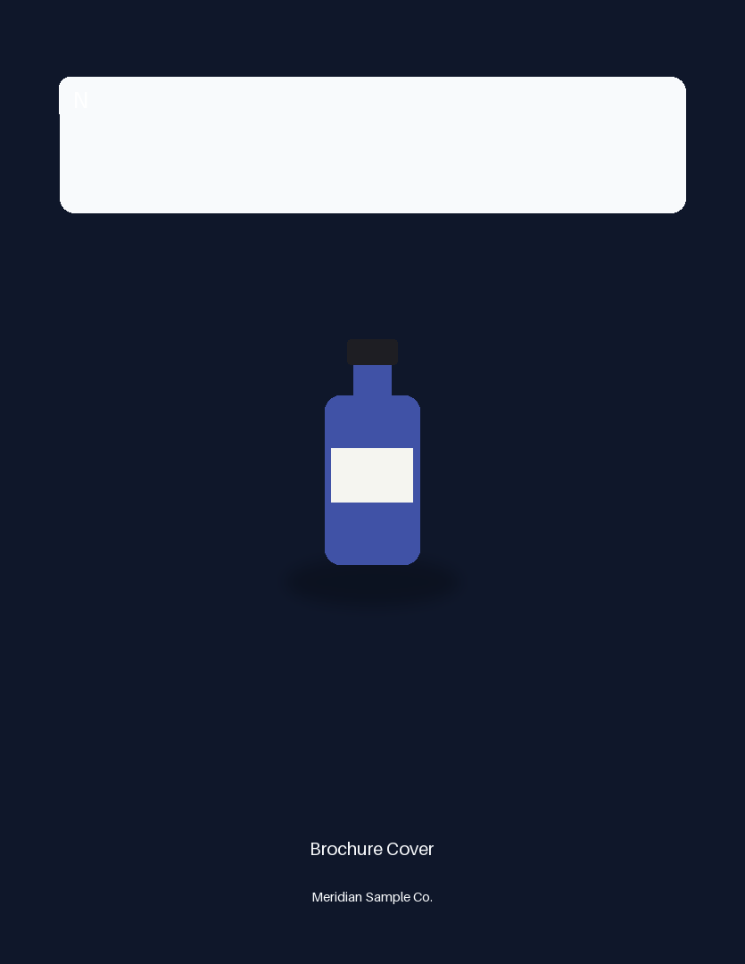 Brochure Cover variant 2