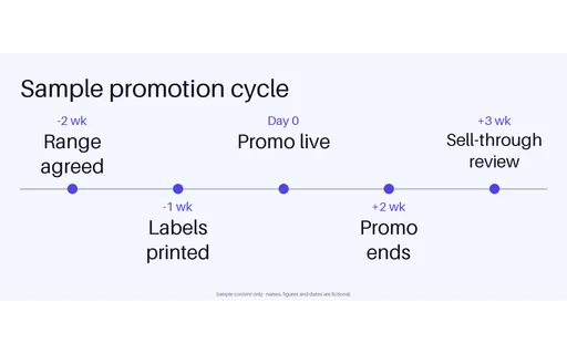 Promotion Cycle Timeline template preview
