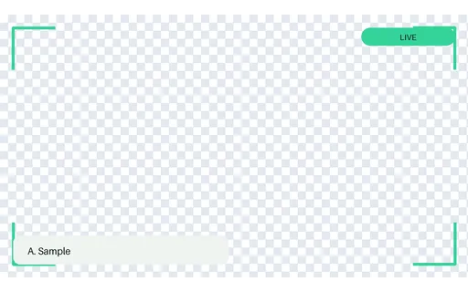 Webcam Corner Bracket Frame — overlay-frame layout, sample content only