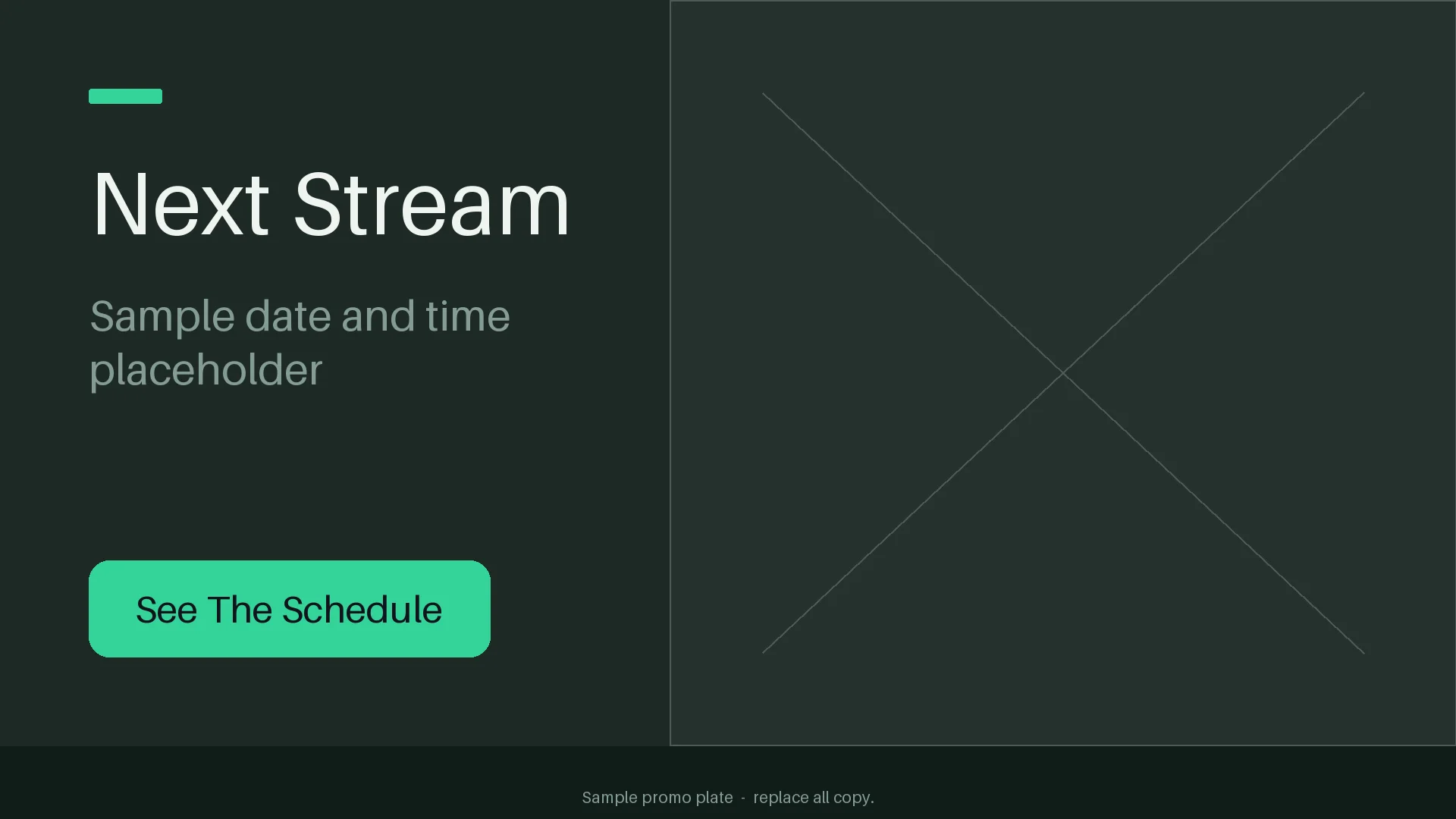 Next Stream Promo Plate variant 1