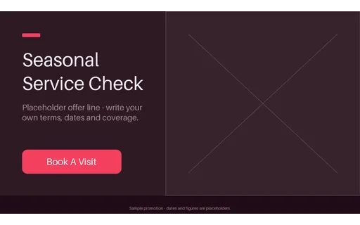 Seasonal Service Promo template preview
