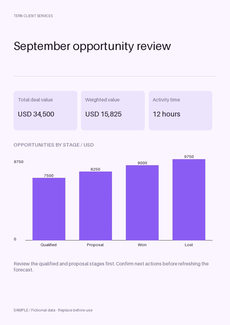 Business One-Pager Graphic: editable report with synthetic content